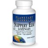 Planetary Herbals Slippery Elm Lozenges, 100 Count