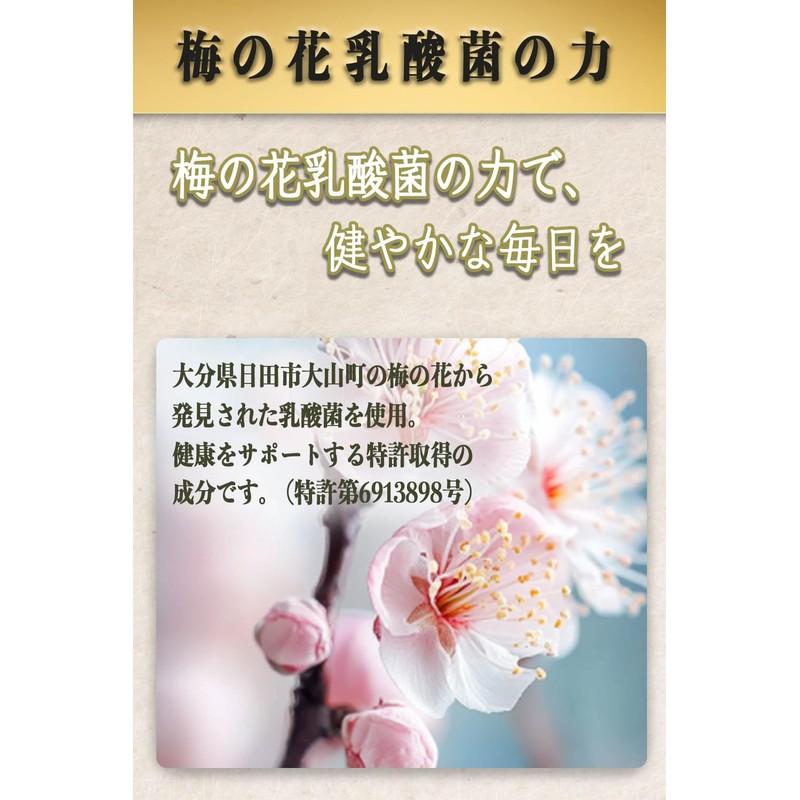植物性乳酸菌 【リチェスト】 にんにく卵黄 すべて国産原材料 1袋/62粒入り 約1ヵ月分 梅の花由来乳酸菌 １粒40億個以上配合 国内製造