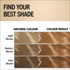 Schwarzkopf Oleo Intense Permanent Oil Colour 8-05 Beige Blonde Hair