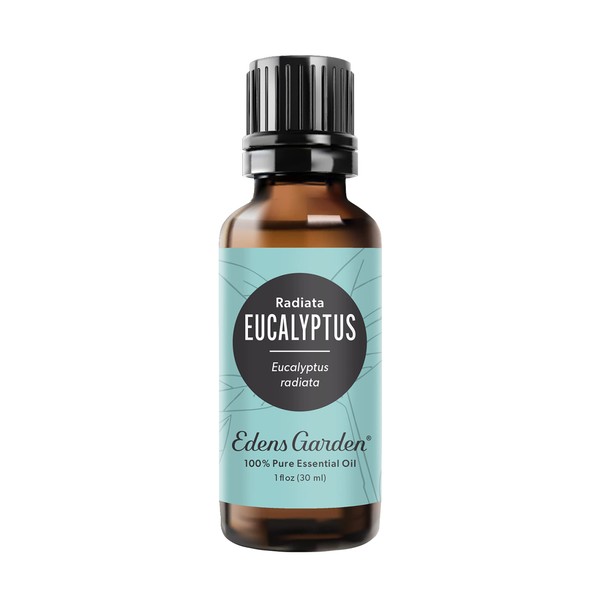 Edens Garden Eucalyptus- Radiata Essential Oil, 100% Pure Therapeutic Grade (Undiluted Natural/Homeopathic Aromatherapy Scented Essential Oil Singles) 30 ml