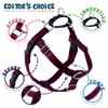 2 Hounds Design Freedom No-Pull Dog Harness with Leash, Burgundy,
