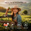 Gya Tea Co Citrus Mint Herbal Tea Bags (20 Bags)