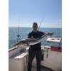 Tope Rigs/Traces x3 150lb Mono, 10/0 Carbon Steel Circle Hooks,