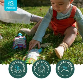 Babylife Organics Stage 2 – Heavy Metal Safe, Organic Baby Food - Apple, Carrot, Spinach & Kale, 3.5 Ounce Pouch (6 Pack)