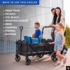 Titan by Arctic Zone Deep Freeze 30 Can Insulated Tote,