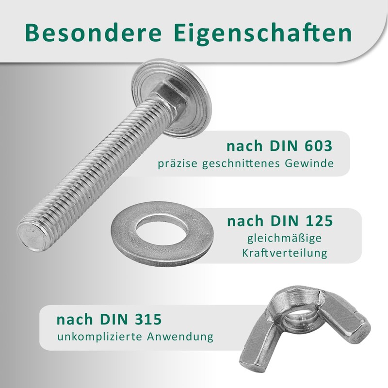 DSM - Carriage Bolts M6 x 110 mm DIN 603