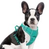 Joytale Step-in No Pull Dog Harness for Small Dogs with