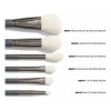Morphe Set 6 Brochas + Esponja + Estuche - Abby