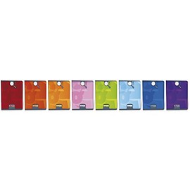 Clairefontaine 108708C Calligraphy Book 16 Sheets 17 x 22 cm 90 g French Ruling Assorted Colours 1 Item