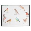 Mr. & Mrs. Panda Desk Mat Native Birds Gift Desk