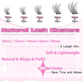 Ruairie Lash Clusters Eyelash Extensions Wispy Eyelash Clusters Lash Extension 110pcs 8-16MM Natural DIY Individual Lashes