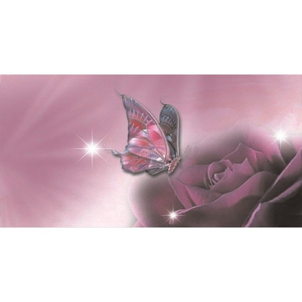 Pink Butterfly and Flower Photo License Plate