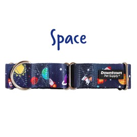 Downtown Pet Supply Big and Wide Durable Martingale Training Collars for Dogs and Puppy in Small, Medium, Large, and Extra Large Dog Collar (Space, Large)