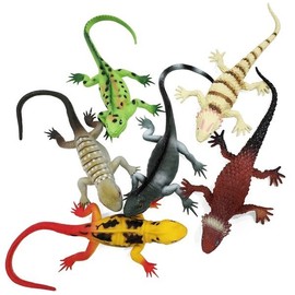 6 Types of Squeaky Lizards / Realistic Squeaky Lizard Model Toy / 삑삑삑 도마뱀 6종  삑삑 소리가 나는 리얼한 도마뱀 모형 장난감