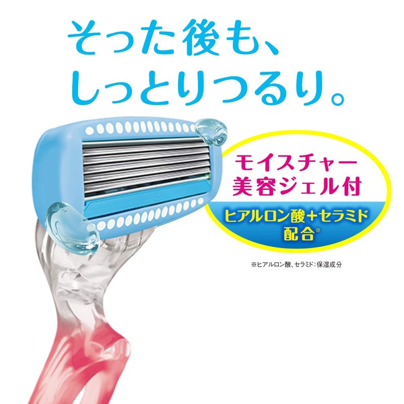 Chic Schick HydroSilk Replacement Blades (Pack of 2) for Women