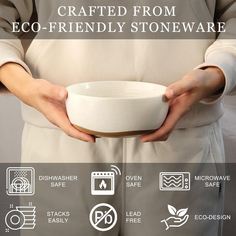 Lareina Plates and Bowls Set, 12 Pieces Farmhouse Ceramic Dinnerware
