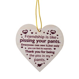 Best Friend Ornaments for Christmas Tree Friendship for Best Friend Bestie Thank You Gifts for Friends Friendship Ornaments Gifts for Women Men Best Friend Appreciation Gifts