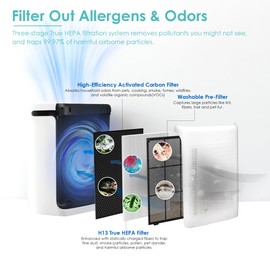 Flintar Vital 200S Pet Allergy Filter, Compatible with LEVOIT Vital 200S-P Air Purifier, H13 Grade Filtration + Activated Carbon filter, Part # Vital 200S-RF-PA, 1-Pack