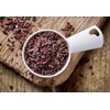 Food to Live Cacao Nibs, 8 Ounces - Raw, Unsweetened,