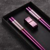 TIICOO Metal Chopsticks Reusable 2 Pairs Titanium Stainless Steel 18/8