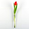 corpus delicti :: Rosie - Single Flower Vase - Test