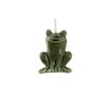Ceramic Green Frog Light Pull with Cord & Connector -