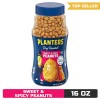 PLANTERS Sweet & Spicy Peanuts, 16 Ounce