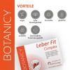 Leber Fit Complex, High-dose Complex from the Brand Raw Material