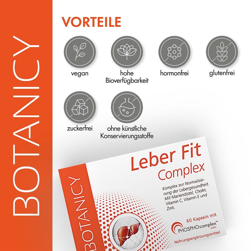Leber Fit Complex, High-dose Complex from the Brand Raw Material