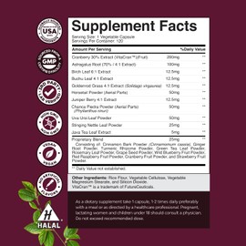 Advanced Kidney Support Supplement - Kidney Cleanse Detox & Repair Cranberry Extract Capsules with Uva Ursi, Stinging Nettle & Astragalus for Kidney Health - Urinary Tract Health - 120 Caps