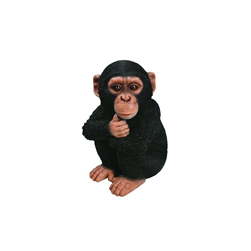 Vivid Arts XRL-CHM2-F Baby Chimpanzee Resin Ornament