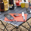 MSR Alpine - Cepillo para platos, color rojo