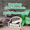 Pearson's Mint Patties | Made with Decadent Dark Chocolate and
