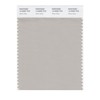 PANTONE Smart 14-0000X Color Swatch Card, Silver Gray