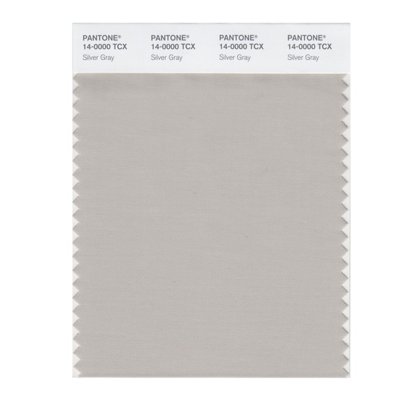 PANTONE Smart 14-0000X Color Swatch Card, Silver Gray