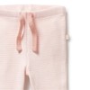 Wilson & Frenchy Organic Stripe Rib Legging - Cantaloupe, 00