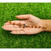 Ensemble Combo Festif WC_Diwali/Bhaidooj - Combinaison de 2 Bracelets Rudraksha