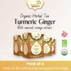 Adanim Bio Ginger Turmeric Tea, Value Pack 80 Teabags, Caffeine-free