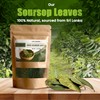 100% Natural Dried Soursop Leaves From Ceylon Sri Lanka 1.7