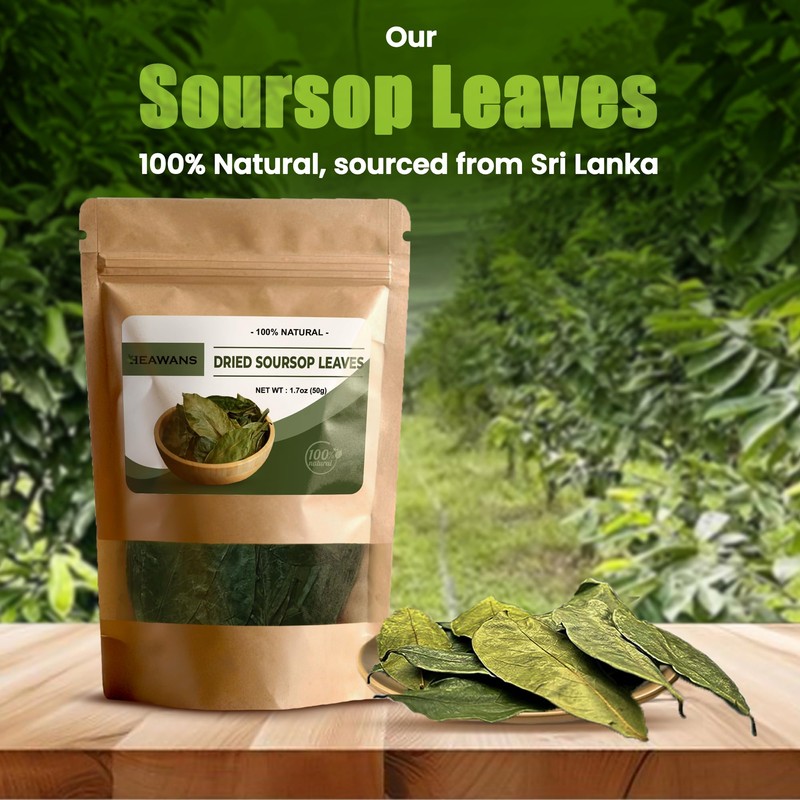 100% Natural Dried Soursop Leaves From Ceylon Sri Lanka 1.7