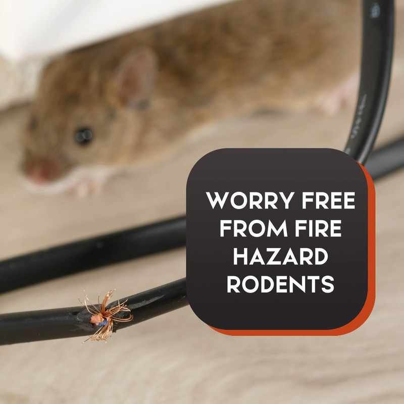 Squirrel Traps Outdoor - Squirrel Traps - Ouell Traps -