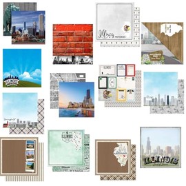 Custom Bundle - 13 Illinois Chicago Springfield Travel Vacation Themed 12" x 12" Scrapbook - Various Brands