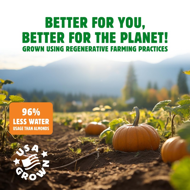 Top Fox Snacks Dill Pickle Sunflower Seeds To Eat (5.5