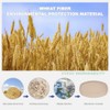 Hobein 6 Pack 11 inch Wheat Straw Dinner Plates -