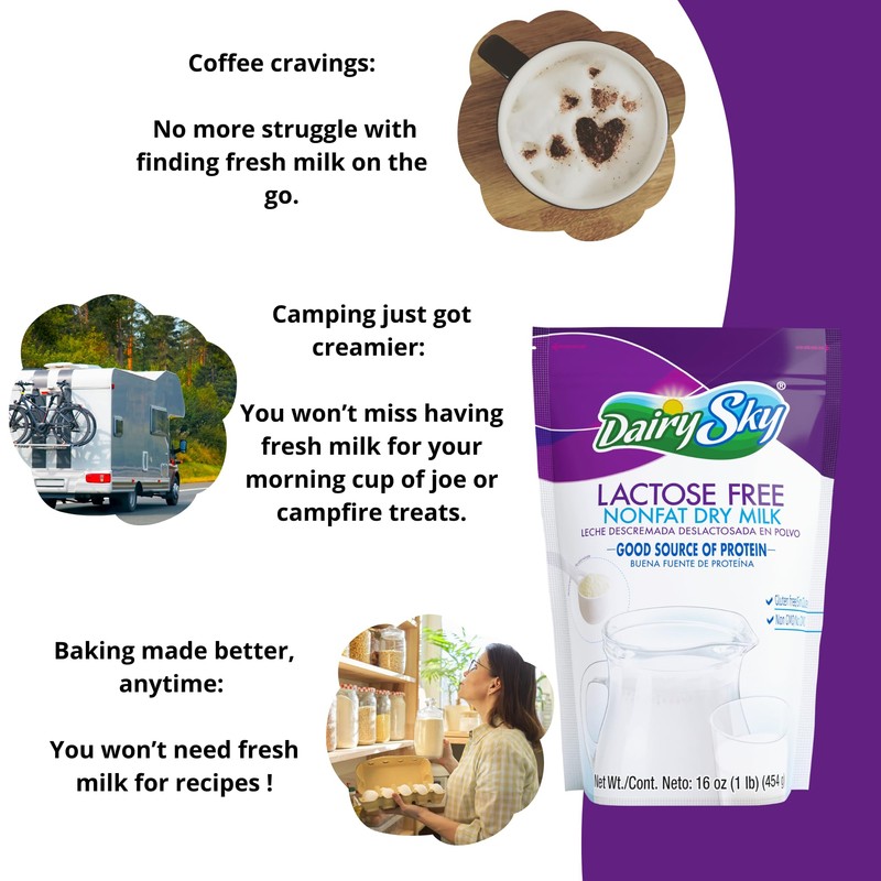 DairySky Lactose Free Milk Powder 16 Oz - Non GMO