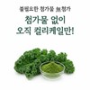 [무첨가! 100%] 유기농 컬리케일 동결건조 곱슬 케일 미국산 분말 가루