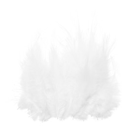 PATIKIL 3-5 Inch Rooster Feathers, 100 Pack Bulk Natural Feathers for Crafts Colorful Fluffy Craft Feathers for Dream Catcher Handwork Clothing Costumes Wedding, White