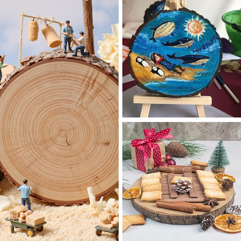 Wooden Discs 30 ~ 35 cm Wooden Discs Wooden Log