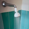 Siroflex Fixed Shower Head, White, Pack of 10, 2760/10, Robust