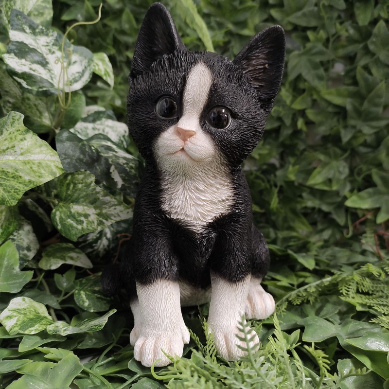 Pet Pals Kitten Black and White by Vivid Arts